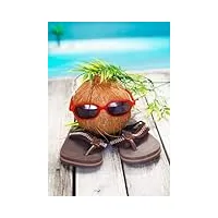 tableau composite en aluminium 70 x 100 cm : parodie humoristique sur un aventurier en noix de coco cool avec coiffure et lunettes de soleil rouges tendance (13385365)