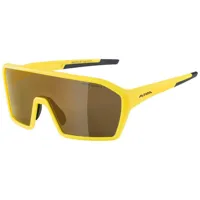 alpina ram hm+ mirrored polarized sunglasses jaune hicon gold mirror cat.3