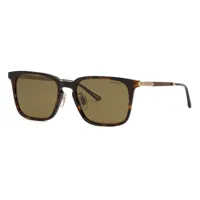 chopard sch339 polarized sunglasses marron green / cat3 homme