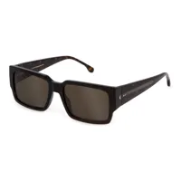 lozza sl4317 sunglasses marron brown / cat3 homme