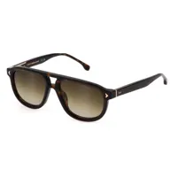 lozza sl4330 sunglasses marron green gradient / cat2 homme
