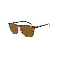 arnette lunettes de soleil an4301 fry cat eye pour homme, dark havana, 55