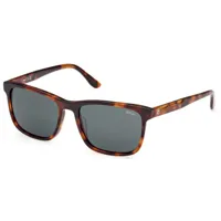bmw bw0053-h sunglasses marron  homme