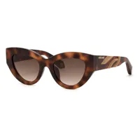 roberto cavalli src009m sunglasses marron brown gradient pink / cat3 homme