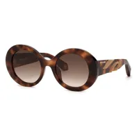 roberto cavalli src010m sunglasses marron brown gradient pink / cat3 homme