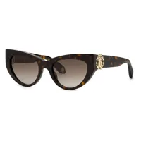 roberto cavalli src017m sunglasses marron brown gradient brown / cat3 homme