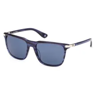 bmw bw0037 sunglasses bleu  homme